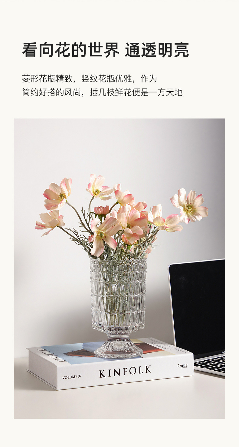 贝汉美轻奢透明玻璃花瓶摆件客厅高颜值ins水培插花网红简约花器工艺品详情5
