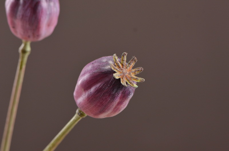 Wholesale of high-end artificial fruits, artificial flowers, photography props, teaching AIDS, dried artificial flowers and flower arrangement materials from the original factory pic 31