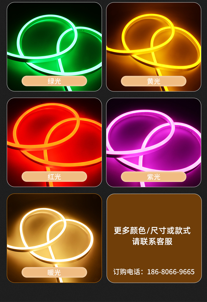 LED柔性霓虹灯带12v/220v RGB七彩变色做字硅胶KTV招牌创意软灯条详情9
