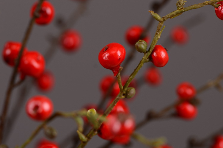 Artificial rosehip, artificial plant fruit, berry, American decorative floral arrangement materials, photography props pic 11