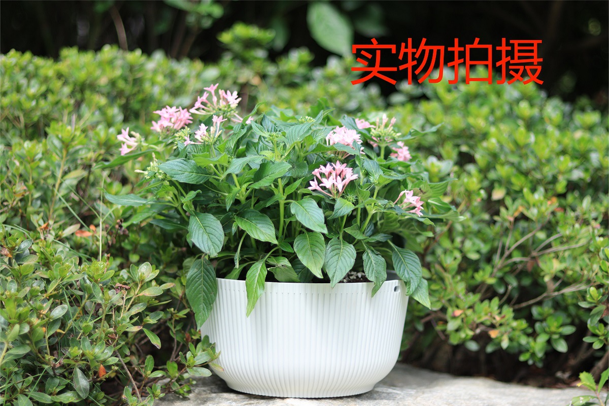 悬挂家居阳台吊篮花盆花篮藤编装饰北欧现代风格绿萝园艺义乌出口悬挂家居阳台吊篮花盆花篮藤编装饰北欧现代茏达森园艺详情12