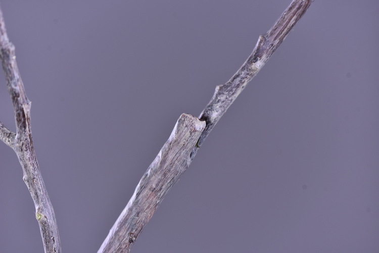 Wholesale of artificial apple branches, multi-leaf home decoration fruit branches, new Chinese-style New Year decoration berries from the manufacturer pic 25