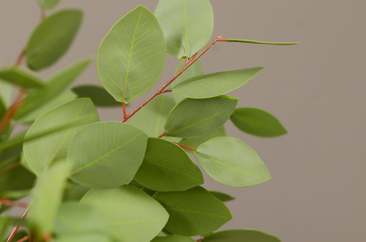 Dongli Flower Industry, the original manufacturer, offers direct sales of green plants in stock, wholesale of artificial leaves, round leaves with fruits, eucalyptus leaves, eucalyptus leaves, and one-piece consignment pic 12