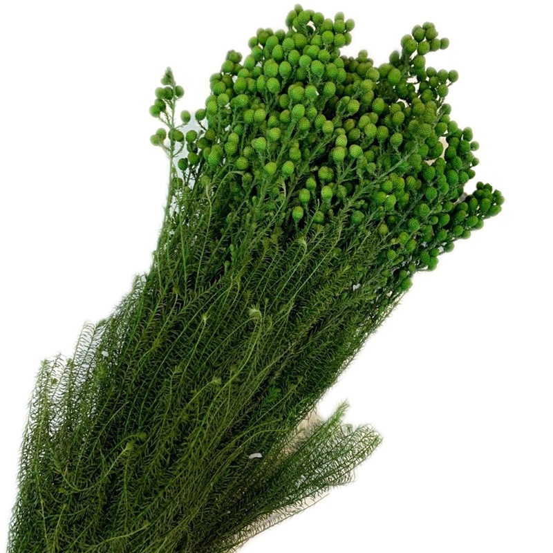 Yunnan Yongsheng Preserved fresh Flower Pepper Bean Flower Art Photo Frame, Floating bottle, special for flower shops pic 1