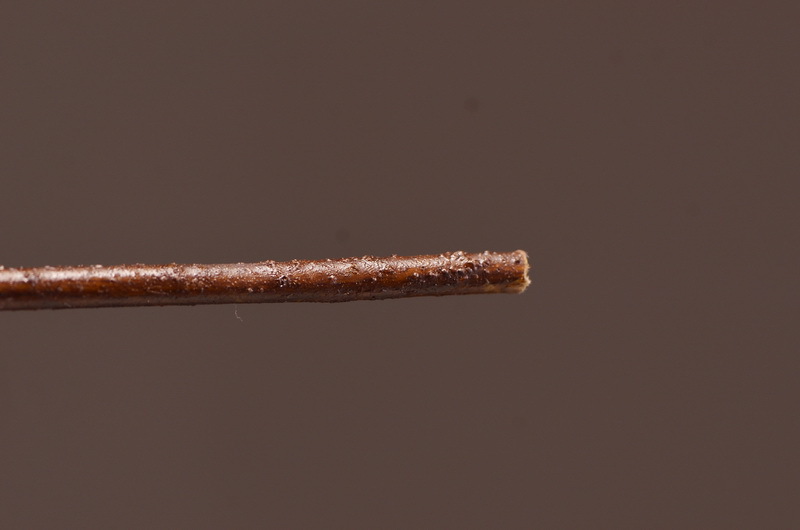 Dongli Flower Industry, the original manufacturer, offers wholesale of high-end artificial flowers, pendulous crabapple, home decoration sample rooms, photography props, and one-piece consignment of crabapple flowers pic 21