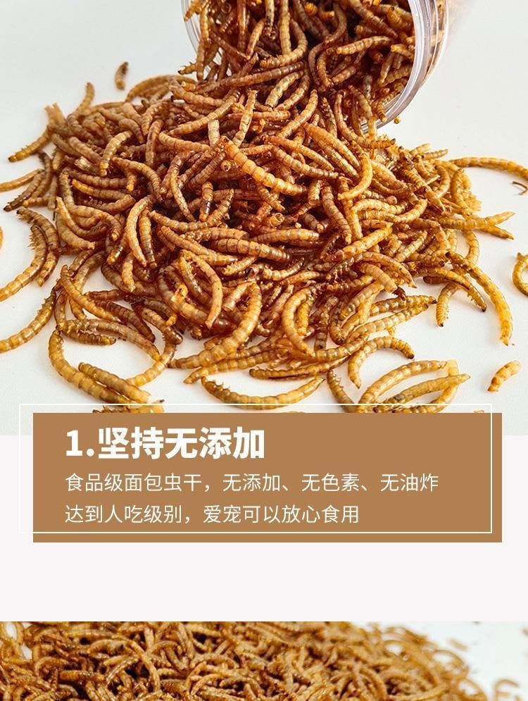宠物零食面包虫干仓鼠刺猬粮食小龟粮用品主粮鸟零食厂家直销批发详情8