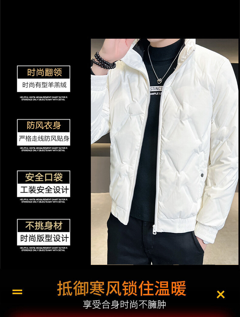 轻薄羽绒服男款高端短款冬季大码立领灰鸭绒外套男士新款潮牌男装详情6