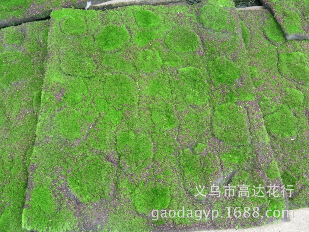 Artificial plant wall, moss skin, plant wall, grass decoration, indoor window display decoration, DIY trendy decoration, lawn pic 22