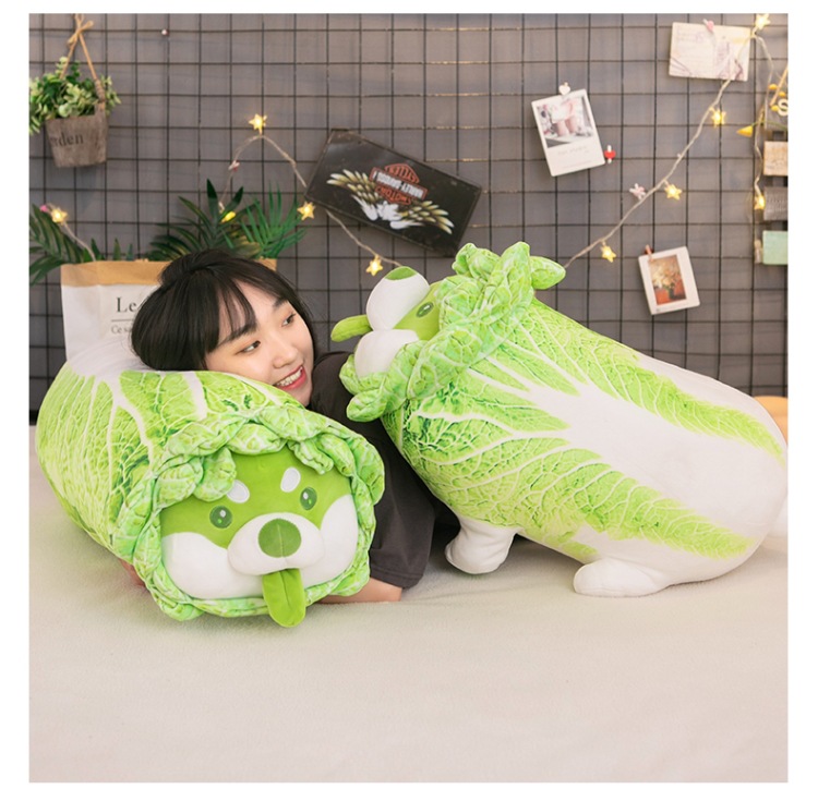 Wholesale of creative cartoon vegetable dog dolls, cabbage dog cushions and plush toys of the same style as those on Xiaohongshu pic 14