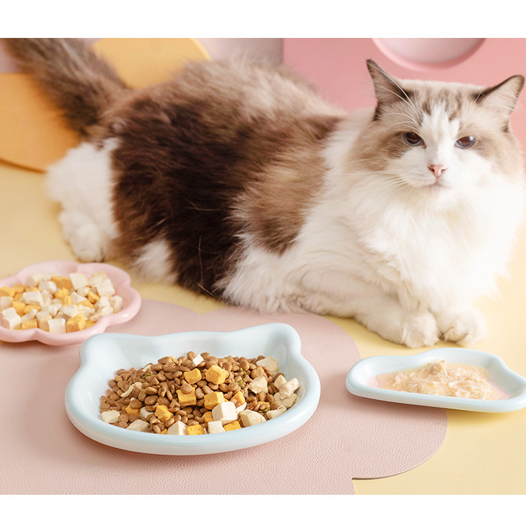 Korean InS-style hand-painted dodo plate cat bowl, a ceramic plate specially designed for cats, cat food, snacks, freeze-dried canned food bowl, and comes with a cute cat hair tie pic 14