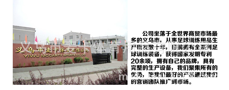 批发麦卡足球训练软梯 绳梯 敏捷梯 足球梯 步伐训练梯篮球速度梯详情36
