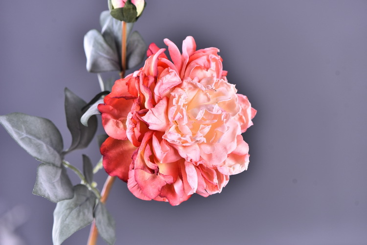 Factory direct sales of 2 simulated peonies, retro charred edge simulated peonies, soft decoration floral art for living rooms, lobbies and homestays pic 42