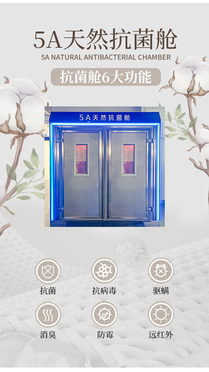 夏季女士短袜抗菌防臭网眼吸汗透气抗起球防掉跟马卡龙针织袜子女详情5