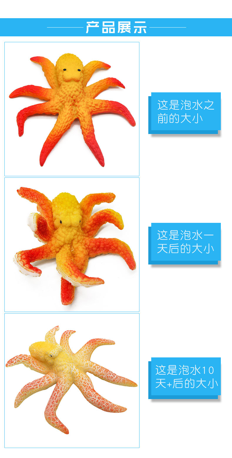 创意海洋生物吸水膨胀玩具泡水变大 水精灵  新奇特出口热销玩具详情3