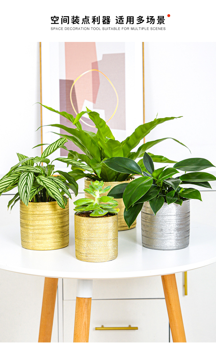 Chinagoods Du Qi Hotel supplies: European-style simple and creative ceramic brushed, gold-plated and silver succulent combination export flower POTS, handicrafts and flower vases pic 10