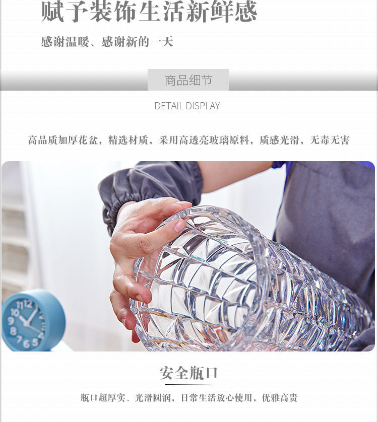 Yuxing Glass Large Glass Vase, transparent hydroponic decorative vessel, home living room lily and rose flower arrangement, hydroponic plant container pic 12