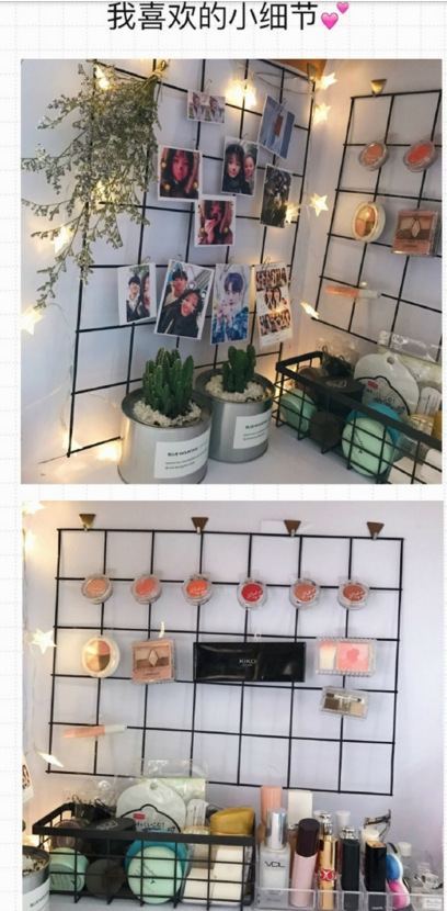 Wholesale of black plastic-coated mesh, stainless steel mesh, steel wire mesh, iron wire mesh, plastic-coated grid, photo wall pic 32