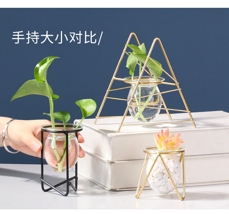 Nordic ins metal, ironwork, glass, hydroponic container, flower arrangement, creative home and office desktop flower arrangement pic 25