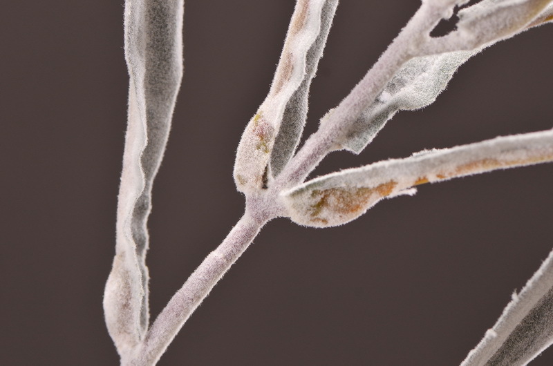 Dongli Flower Industry Factory Direct sales, wholesale of artificial flowers and fake flowers, 2-fork-scented green leaves, home decoration sample rooms, photography fake flower ornaments, one-piece consignment pic 15