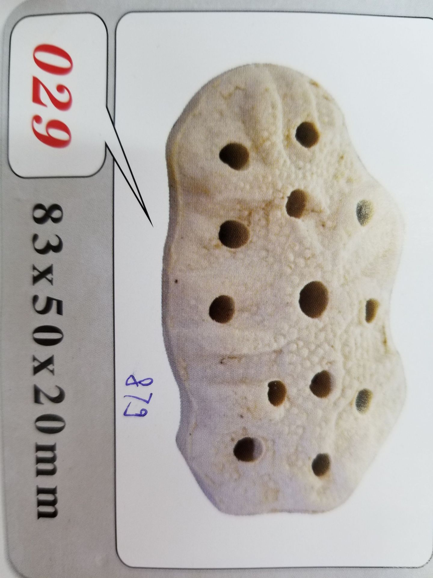 Baojie Aquarium Base, simulation aquatic plant base, fish tank aquatic plant base, ceramic base manufacturer wholesale pic 60