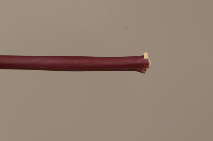 Dongli Flower Industry, the original manufacturer, offers direct sales of green plants in stock, wholesale of artificial leaves, round leaves with fruits, eucalyptus leaves, eucalyptus leaves, and one-piece consignment pic 41