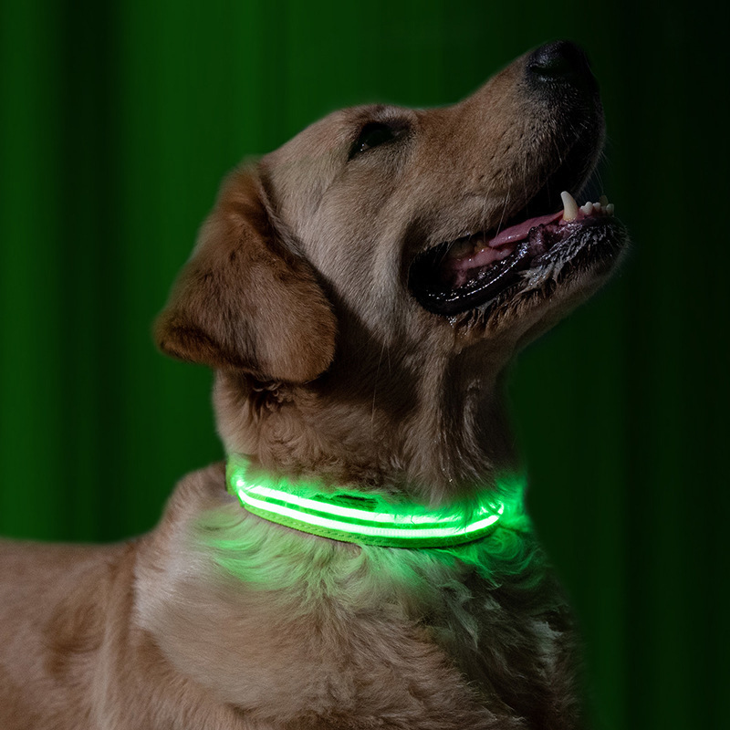 Pet cat collar, large dog night collar pic 1