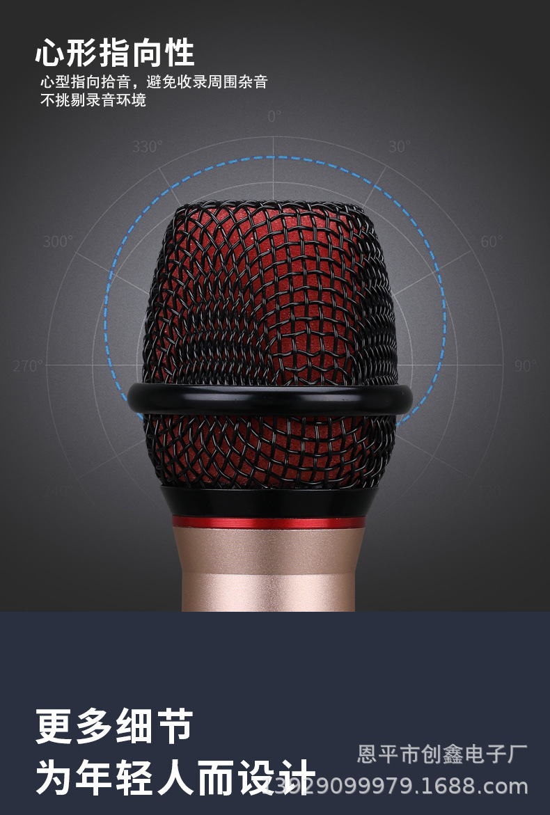 A best-selling karaoke gadget, a multi-purpose dual-microphone combination for car home audio systems pic 5