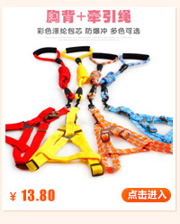 T has 50 types of pet supplies in stock, including fashionable dog ties, bow ties, bells, large bows, and starry bell collars pic 9