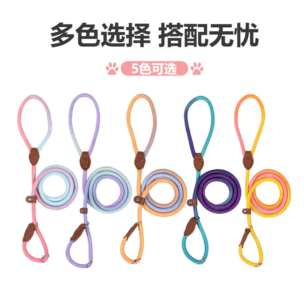 Durable thick nylon P-chain dog leash, explosion-proof and scratch-resistant pet leash pic 2