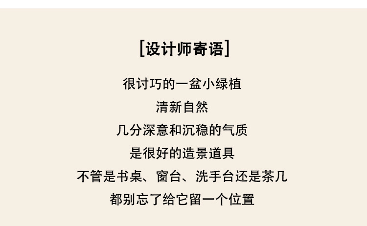 Nordic-style creative small clear cement POTS, artificial plant potted plants, office desk atmosphere decoration and arrangement pic 3