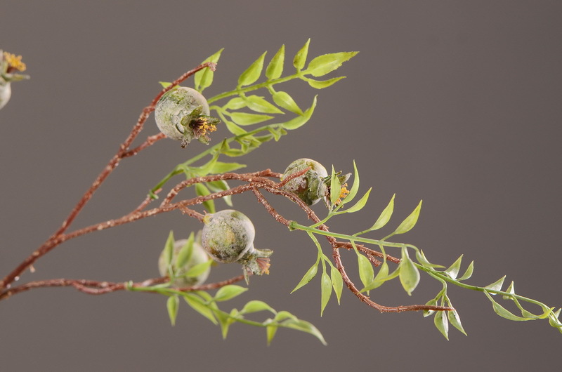 Wholesale of artificial pomegranate and wabi-sabi style Chinese hotel, home and restaurant decoration artificial flowers and artificial berries from the manufacturer pic 4