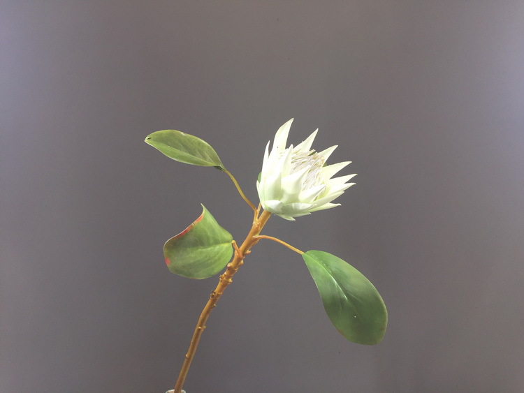 Dongli Flower Industry Factory offers direct sales and wholesale of tropical flowers, including simulated little emperor flowers, Nordic minimalist living room and home decoration simulated flowers, as well as entrance and table flowers pic 27