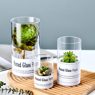 Wholesale transparent micro-landscape glass vase ornaments, hydroponic ecological bottles, diy moss tanks, succulent flower POTS, glass jars pic 3