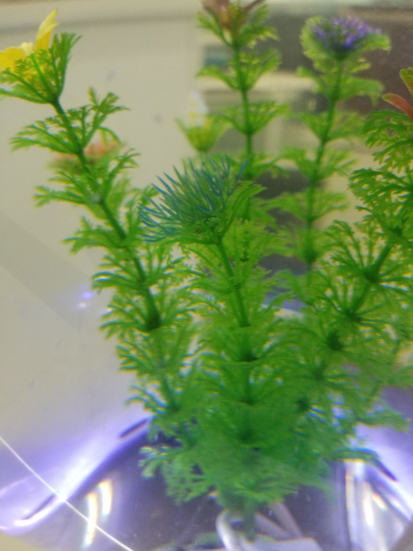 Supply fountain fish tanks, ultra-clear glass fish tanks, large and medium-sized aquarium fish tanks pic 16