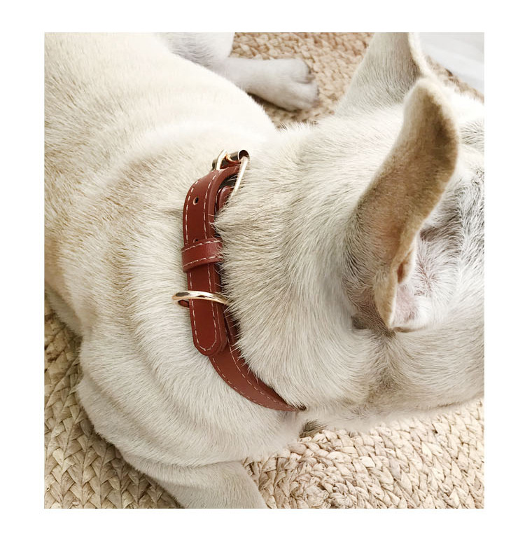 Fatou golden hair teddy collar de perro pequeño y mediano collar de cuello de PU lindo collar de cuello de mascota ajustable collar de gato pic 11