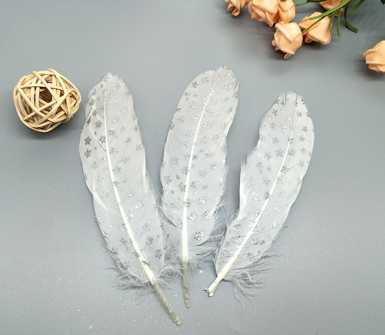 A large quill feather gift box with all-gold and all-silver feathers, paper card bookmarks and decorative quill pens pic 69
