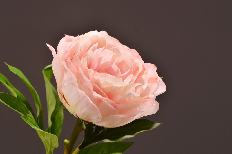 Wholesale of artificial large-branch peonies for home, hotel, restaurant soft decoration, artificial flowers and artificial paeonies from the manufacturer pic 6