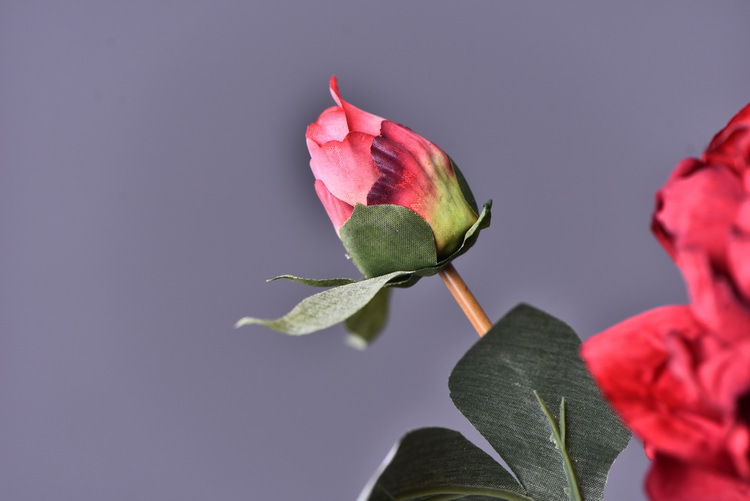 Factory direct sales of 2 simulated peonies, retro charred edge simulated peonies, soft decoration floral art for living rooms, lobbies and homestays pic 60