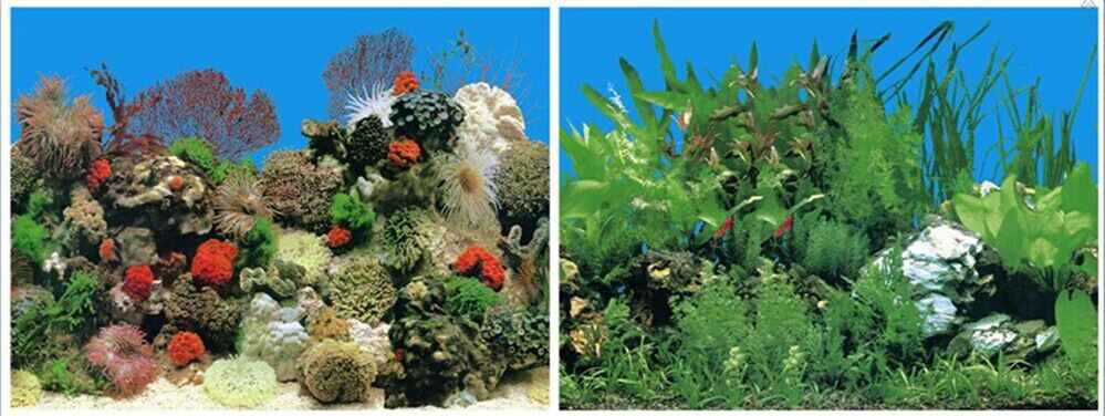 60cm double-sided thick fish tank background painting aquarium decoration background painting can be customized for multiple types of aquariums pic 1