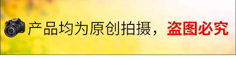 跨境热卖内裤女 纯棉女士三角裤 欧美高端纯棉大码裤全棉工厂批发详情3