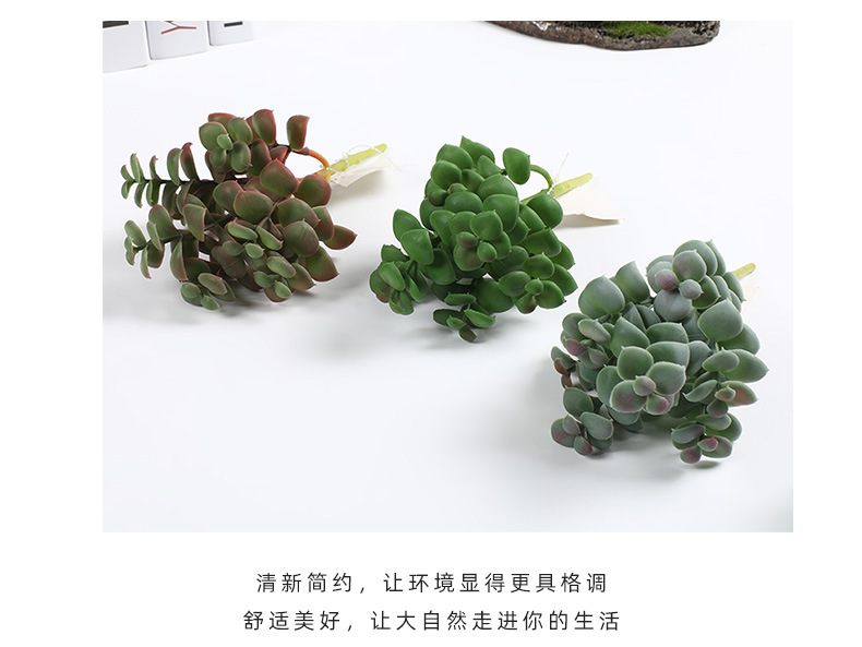 新款仿真塑料多肉 逼真手感插花多肉园艺装饰多肉绿植多头组合批发详情11