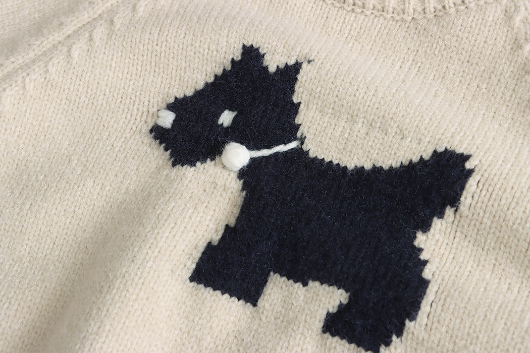 3th Morning North Island Park Korean Style Youthful Dog Embroidered Round Neck Pullover Sweater ZY2381 pic 83