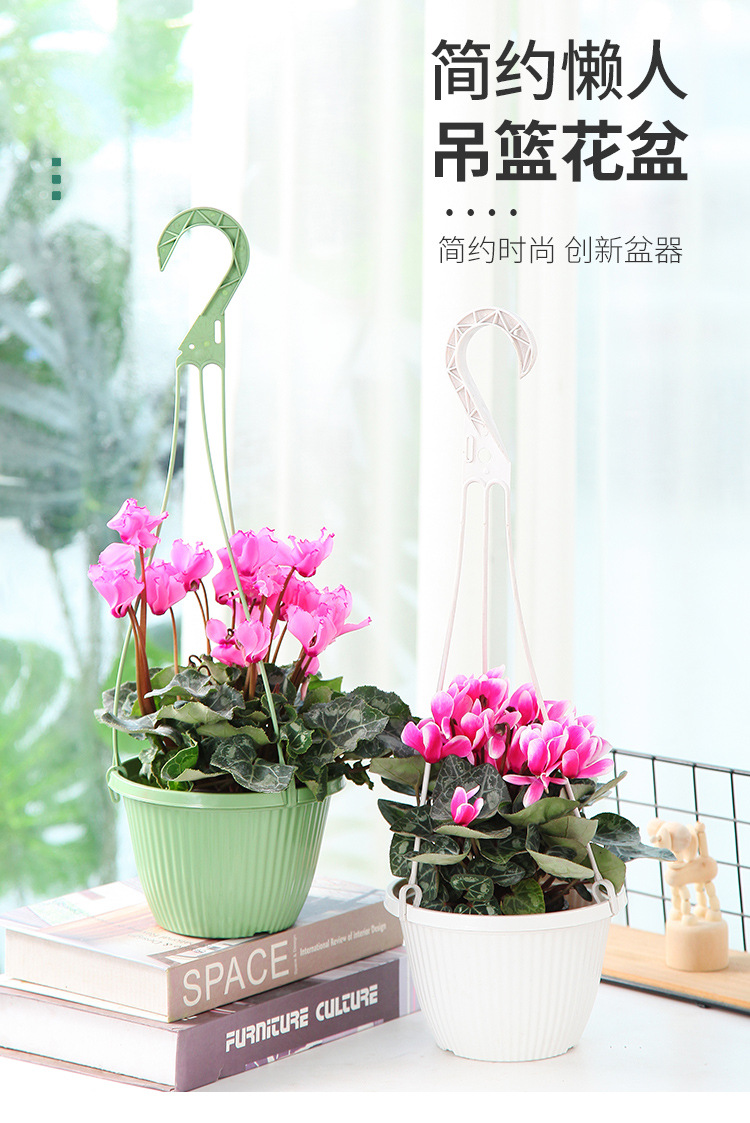 Wholesale Xiaoguoting B165 fishing hook hanging basket flower POTS, brand new material hanging green ivy special indoor flower POTS pic 1