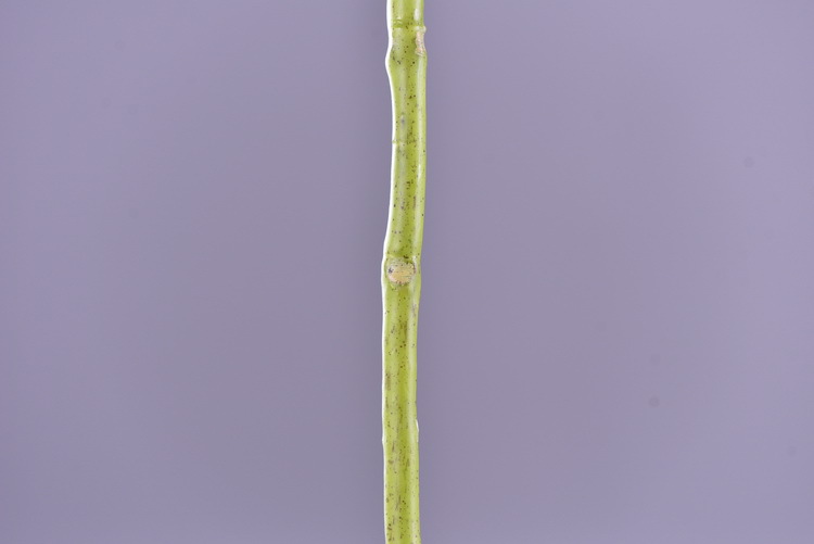 Factory supply of artificial hydrangeas, high-end hydrangea wholesale, wedding, home, hotel landscaping, main flowers, decorative artificial flowers pic 50