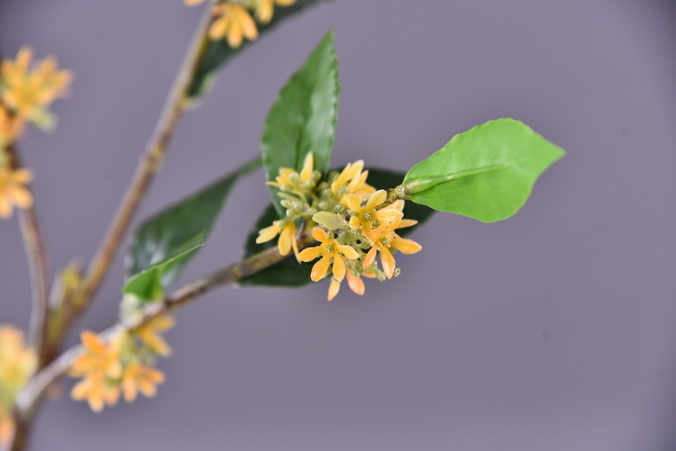 Wholesale artificial yellow osmanthus and laurel, green landscape garden artificial trees, decorative golden osmanthus leaves, home, hotel and homestay artificial flowers pic 47