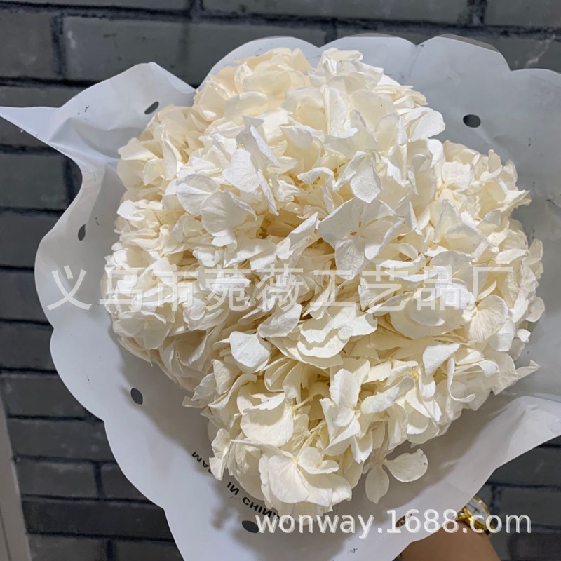 Natural plant, evergreen, large-leaf hydrangea, flower arrangement, handicrafts, soft furnishing grass pic 16