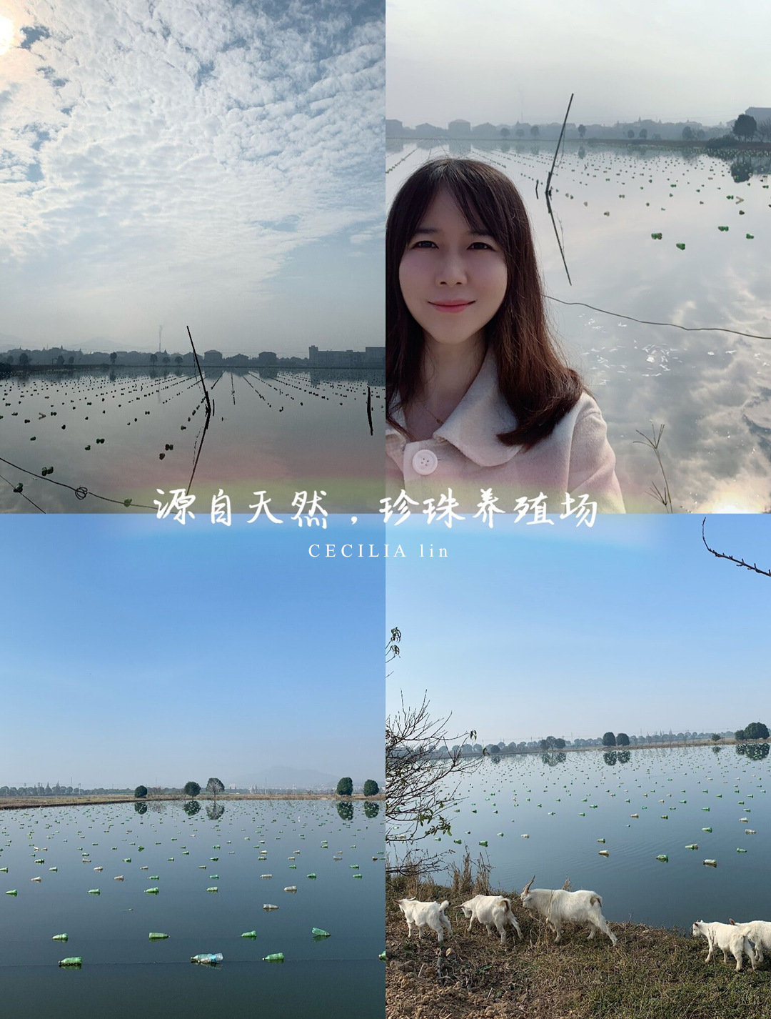 天然和田玉珍珠14K金耳环耳夹小众设计感ins网红秋冬耳饰女详情20