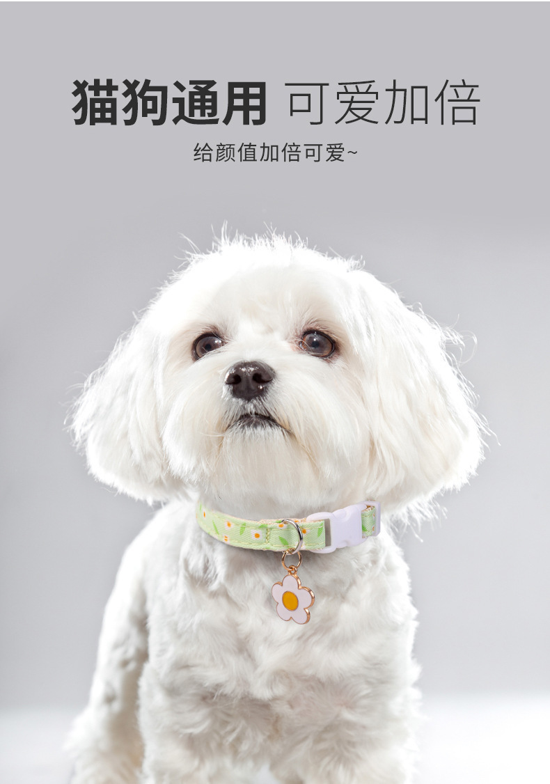 国潮小雏菊宠物项圈狗狗项链四季猫咪饰品配饰小型犬宠物用品批发详情9