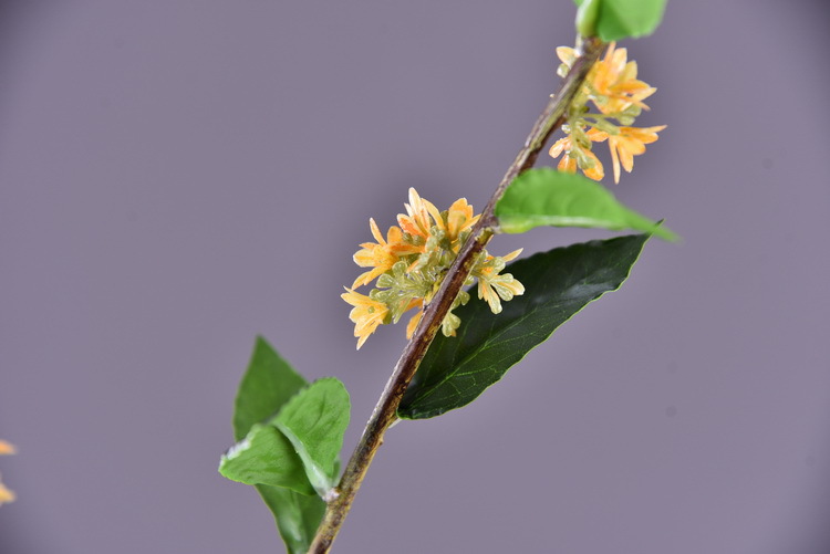 Wholesale artificial yellow osmanthus and laurel, green landscape garden artificial trees, decorative golden osmanthus leaves, home, hotel and homestay artificial flowers pic 46