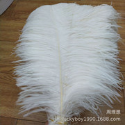 The feather fan is a special prop for the dance performance of the ostrich-colored feather fan used by the palace film crew pic 13